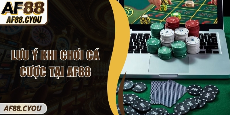 Lưu Ý Khi Chơi Cá Cược Tại AF88 Người Chơi Mới Cần Biết 